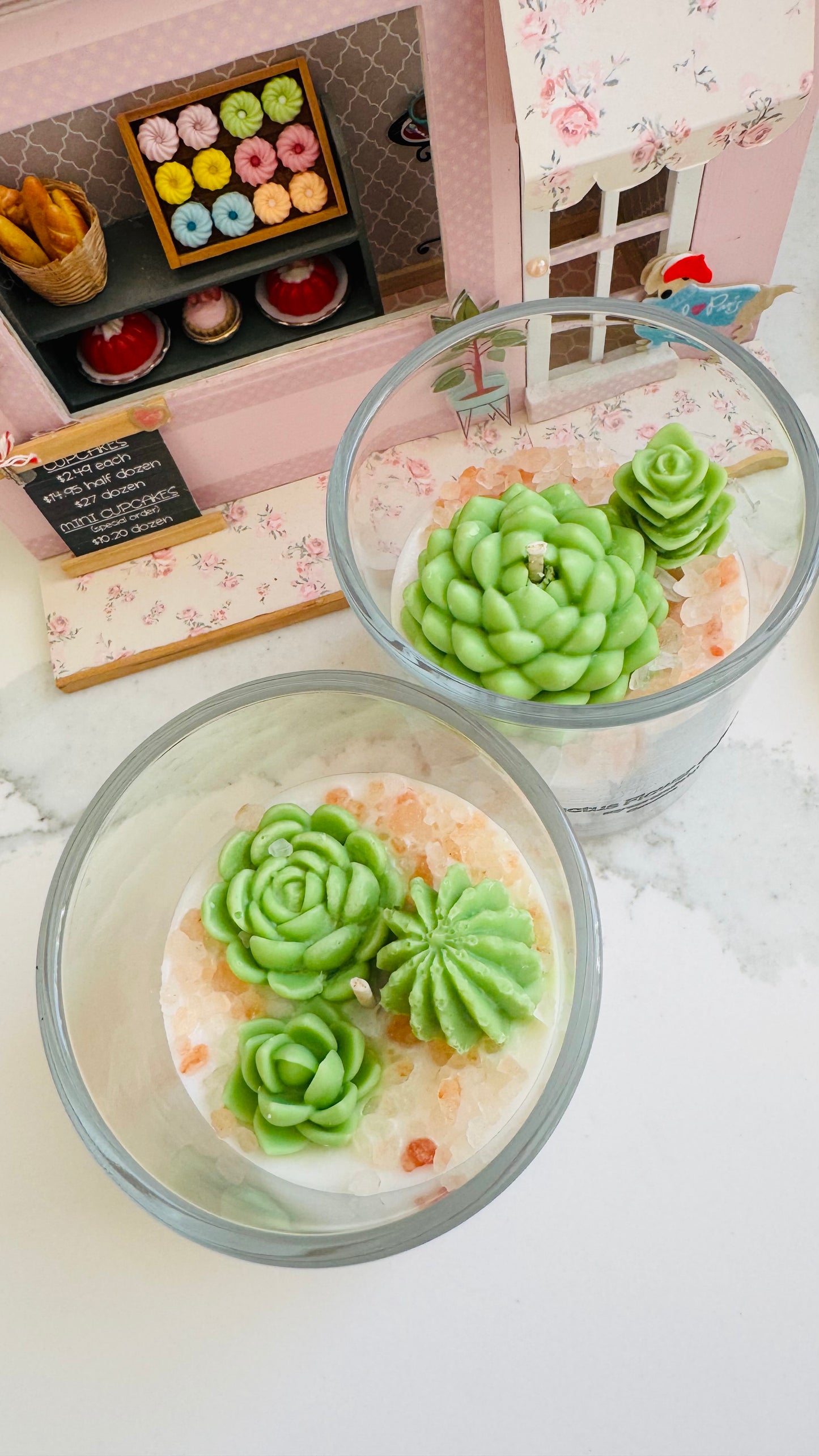 Succulent Candle