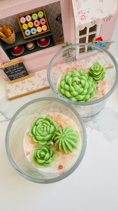Succulent Candle